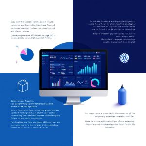 comprehensive-seo-growth-package-pro