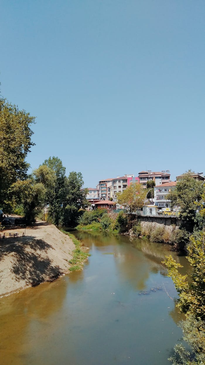 Peaceful river view in Bartın, Türkiye with surrounding trees and buildings under a clear sky.